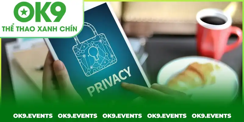 Chính sách được nền tảng chú trọng xây dựng bài bản Chính sách được nền tảng chú trọng xây dựng bài bản