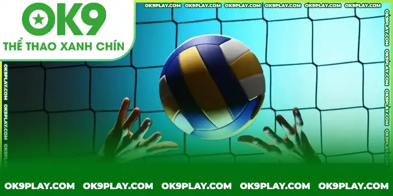 Quy tắc về cách tính điểm trong cá cược bóng chuyền OK9 Quy tắc về cách tính điểm trong cá cược bóng chuyền OK9